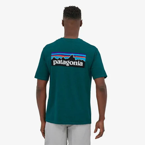 Patagonia Men's P-6 Logo Responsibili-Tee - Borealis Green